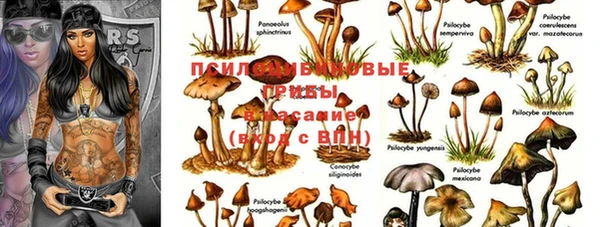наркотики Арсеньев