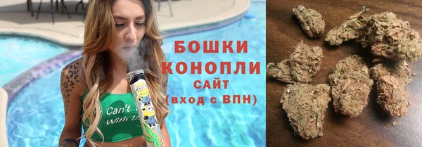 шишки Нязепетровск