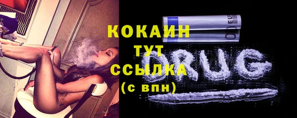 ГАЛЛЮЦИНОГЕННЫЕ ГРИБЫ Няндома