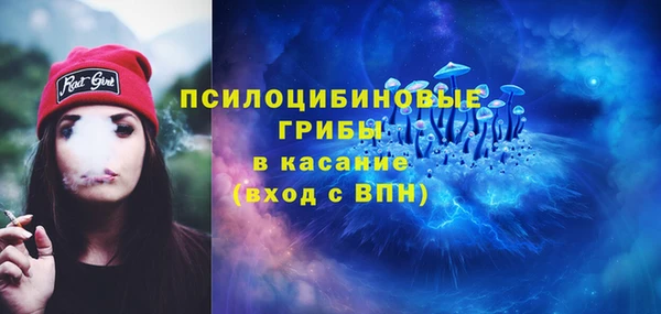 кокс Аркадак