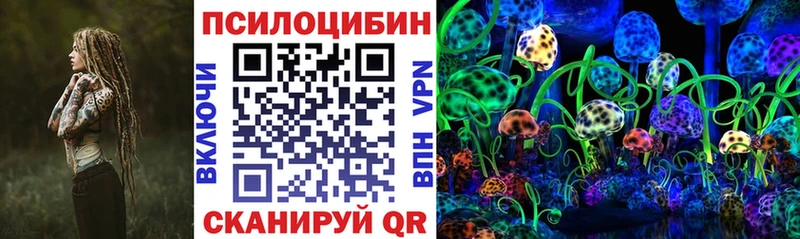 блэк спрут зеркало  Трубчевск  Псилоцибиновые грибы Psilocybe 